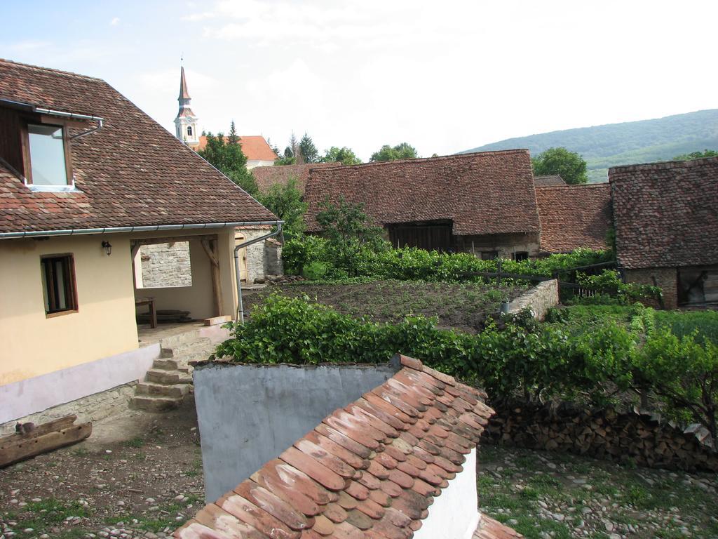 Convivium Transilvania Crit Zewnętrze zdjęcie